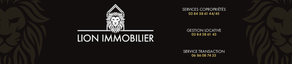 Lion immobilier